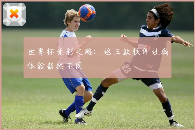 世界杯竞彩之路：这三款软件让我体验截然不同