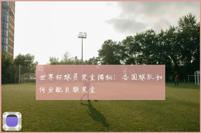 世界杯球员奖金揭秘:各国球队如何分配巨额奖金