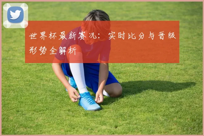 世界杯最新赛况:实时比分与晋级形势全解析