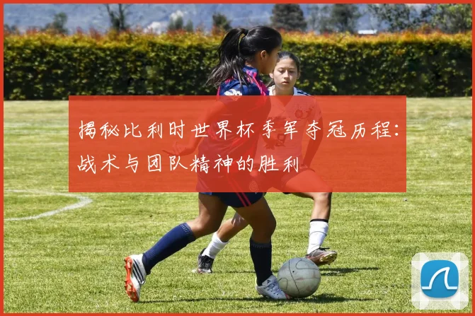 揭秘比利时世界杯季军夺冠历程：战术与团队精神的胜利