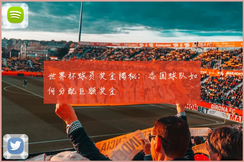 世界杯球员奖金揭秘:各国球队如何分配巨额奖金