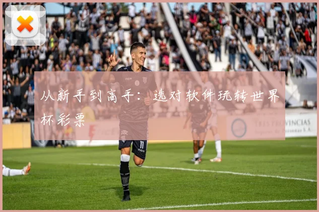 从新手到高手:选对软件玩转世界杯彩票