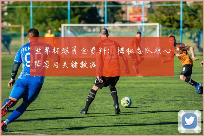 世界杯球员全资料:揭秘各队核心阵容与关键数据