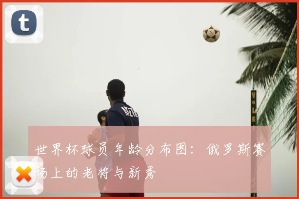 世界杯球员年龄分布图：俄罗斯赛场上的老将与新秀