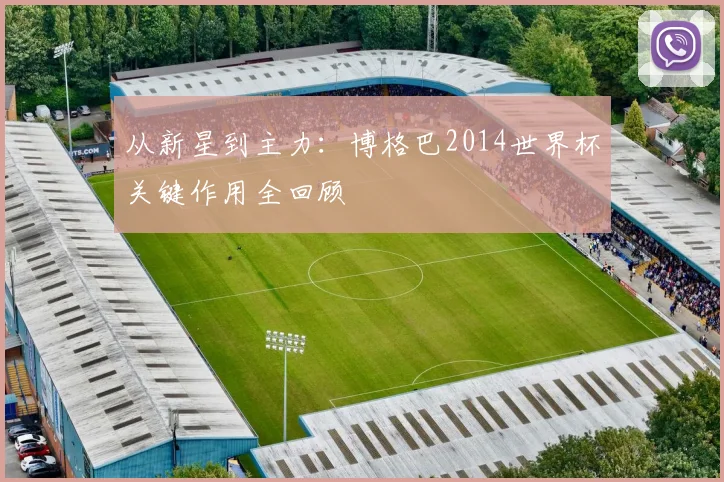 从新星到主力:博格巴2014世界杯关键作用全回顾